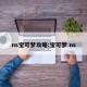 ns宝可梦攻略:宝可梦 ns